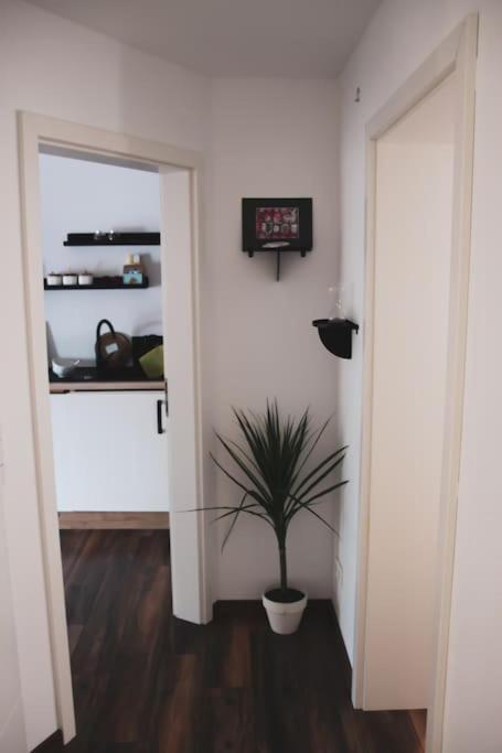 Schoene Wohnung Top Lage Koeln Work & Relax & Travel Frechen Bagian luar foto